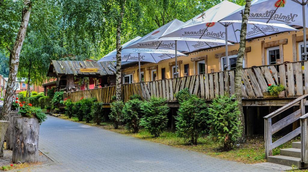 Hotel Harzlodge Γκόσλαρ Εξωτερικό φωτογραφία
